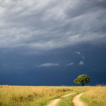 Ezemvelo Nature Reserve Hotel Vaalplaas Luaran gambar